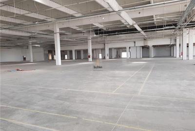 Spatii Industriale - 9000 mp - Productie - Depozitare - Distributie - 11