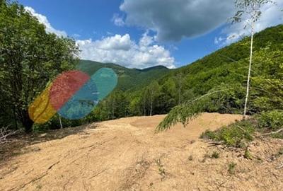 Teren 2200 mp, intravilan, zona Somesul Rece - 1