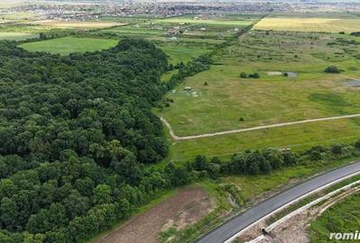 Teren de 889 mp, în Moșnița Veche - 2