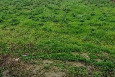 Proprietar vând teren intravilan Cosoba - 1