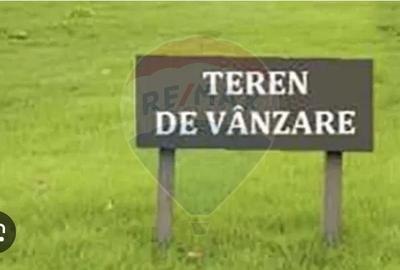 Teren de vanzare  5.000 mp langa Roca Bruna - 2
