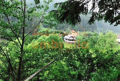 Teren Construcții intravilan de 34201 mp, în Vărșag - 3