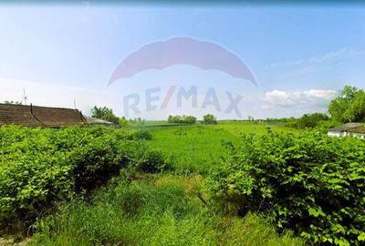 Teren de 5018 mp, în Variașu Mare - 2