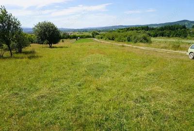 Teren 1,343mp Sighetu Marmatiei / Strada Doboies - 3