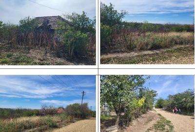 Casa si teren Sat Guruieni, cota parte de 1/2 , ID: R2319667 - 14