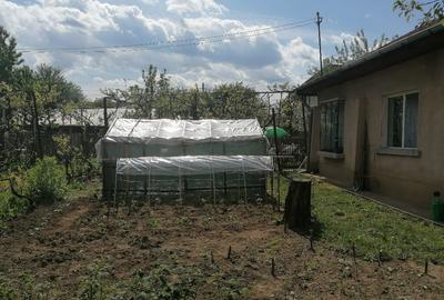 Proprietar Casa + Teren 700mp Campina, Prahova - 2