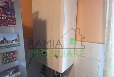 Apartament 2 camere de vanzare - Noua - 6