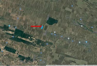 Teren de 2500 mp, în Amărăști - 6