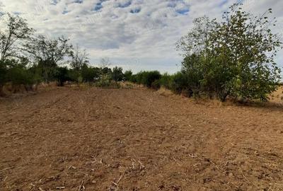 Casă cu 3 camere în Colacu - 4