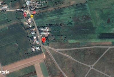 Casă cu 3 camere cu Teren 3487 Mp în Tănăsoaia - 8