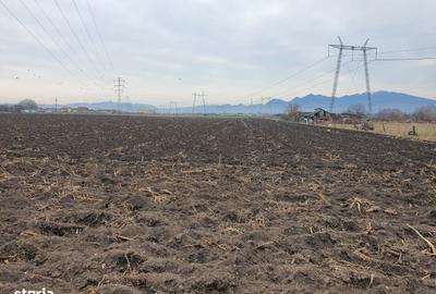 Spațiu comercial, în Central - 1