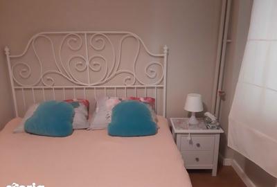 Apartament cu 2 camere, mobilat în Victoriei - 8