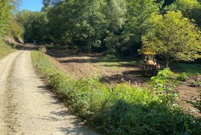 Domeniu de vinzare - 4