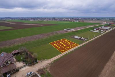 Teren intravilan de 423 mp, în Frumușani - 2