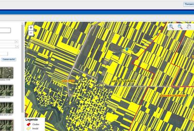 12 Ha Teren Agricol Vlad Tepes CL 12 Ha Teren Agricol Vlad Tepes CL - 4