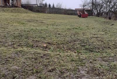 Spațiu comercial, de 3,600 mp, în Șura Mare - 8