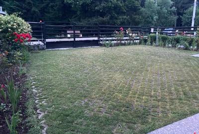 Proprietar vand vila Busteni - 4