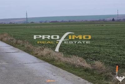 Teren de 4200 mp, în Corbu - 6