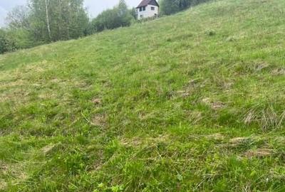 Spațiu comercial, în Plopi - 6