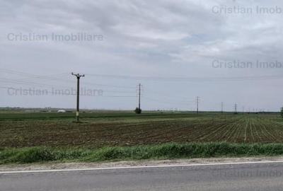 Teren de 7500 mp, în Centură