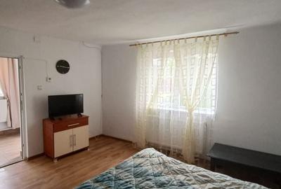 Casă individuală cu 2 camere cu Canalizare în Central - 2