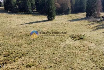 Teren de vanzare 5000 mp Piatra Neam? - 2