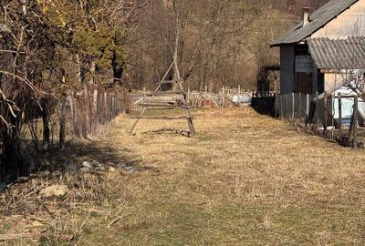 Spațiu comercial, în Bradu - 2