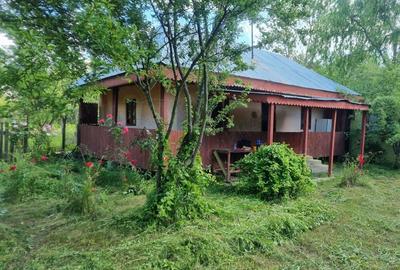 Casa si teren Comuna Fagetelu - 1
