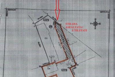 Pache Protopopescu M3: POT 60%, CUT: 2.5 - 2