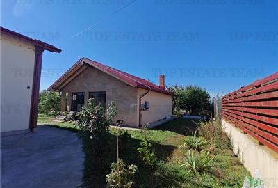 Vila 4+ camere, iaz cu peste, livada, 5300 mp teren, foisor, pivnta si crama, in - 20