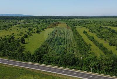 Teren Intravilan de Vanzare la Drum European