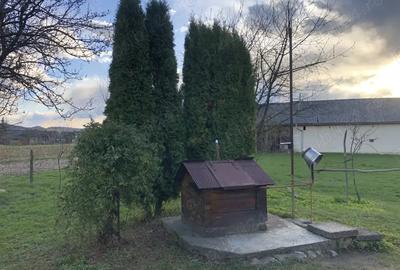 Casa de vanzare din lemn - 4