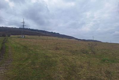 Spațiu comercial, în Sărădiș - 4