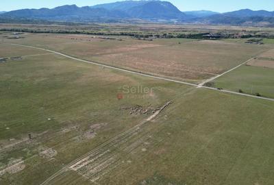 Teren extravilan Rasnov - 17