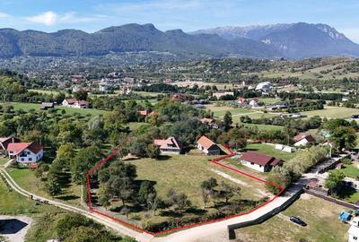 Teren Construcții intravilan de 4391 mp, în Sohodol - 7