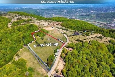 Teren extravilan de 7500 mp, în Preluca Nouă - 8