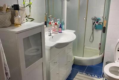 Garsoniera, zona centrala, complet mobilata si utilata - 4