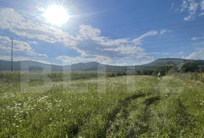 Teren intravilan Vii?oara ideal pentru casa sau invest - 2