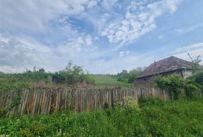 De vanzare casa  plus teren 70 arii, Bala, Jud Mures - 3