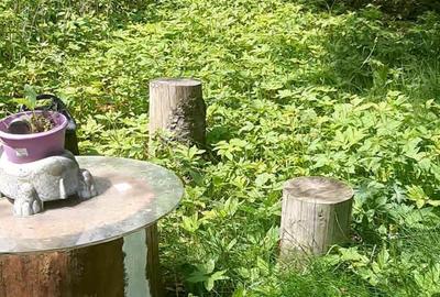 Casă cu 5 camere în Poiana Țapului - 4