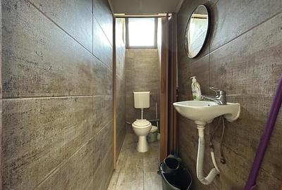 Nicolina Clopotari Spatiu Comercial - 4