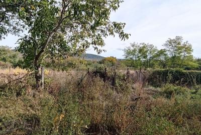 🏡  Casă de Poveste în Șiria, Arad- Locație Rară - 15