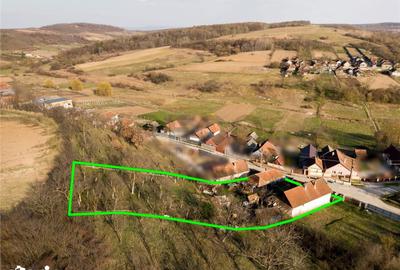 Casă cu 3 camere cu Teren 1300 Mp în Tileagd - 9