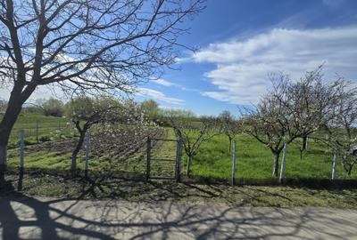 Teren Construcții intravilan de 1300 mp, în Curtișoara - 1