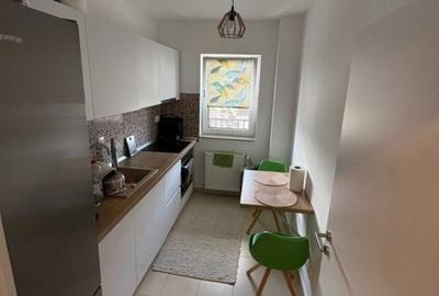 Apartament 2 camere, mobilat, terasa 10 mp, Buna Ziua - 4