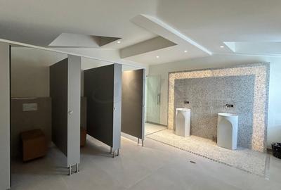 Casă individuală cu 19 camere cu Canalizare în Grădina Icoanei - 5