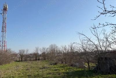 Casă cu 5 camere cu Teren 1375 Mp în Orbeasca - 2