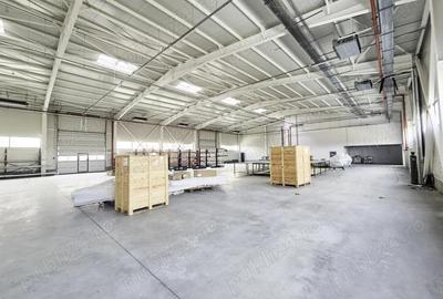Spatiu Industrial Hala Pitesti - 11
