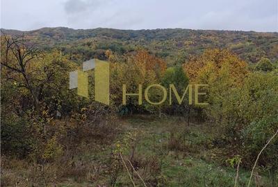 Spațiu comercial, în Ogretin - 2