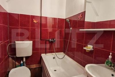 Casă individuală cu 9 camere cu Teren 3800 Mp în Glăjărie - 9